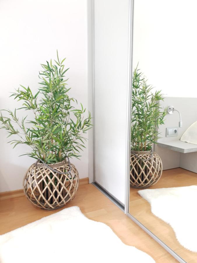 Apartament Bolek I Apartament Lolek ซาโกปาเน ภายนอก รูปภาพ